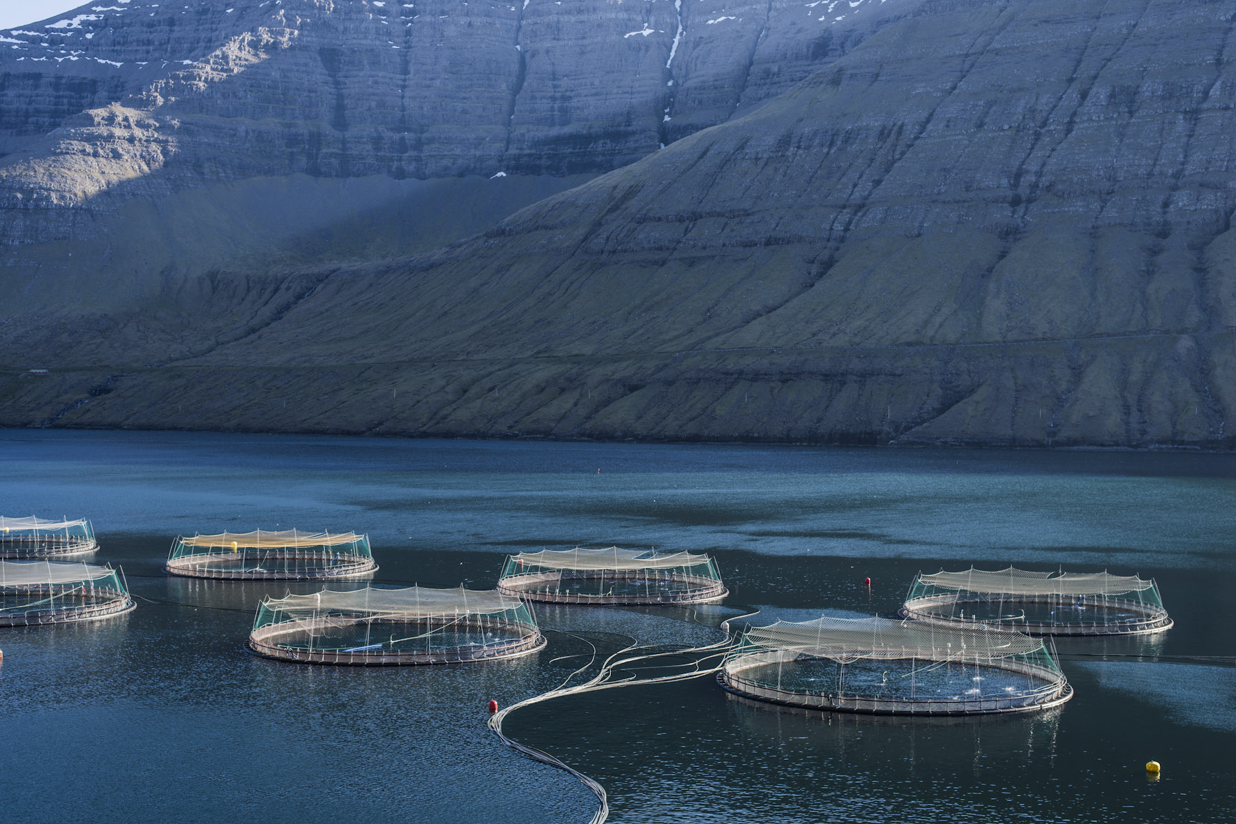 HH Faroe Islands Seafood Salmon Farms 002 Haarala Hamilton tmfdialogue